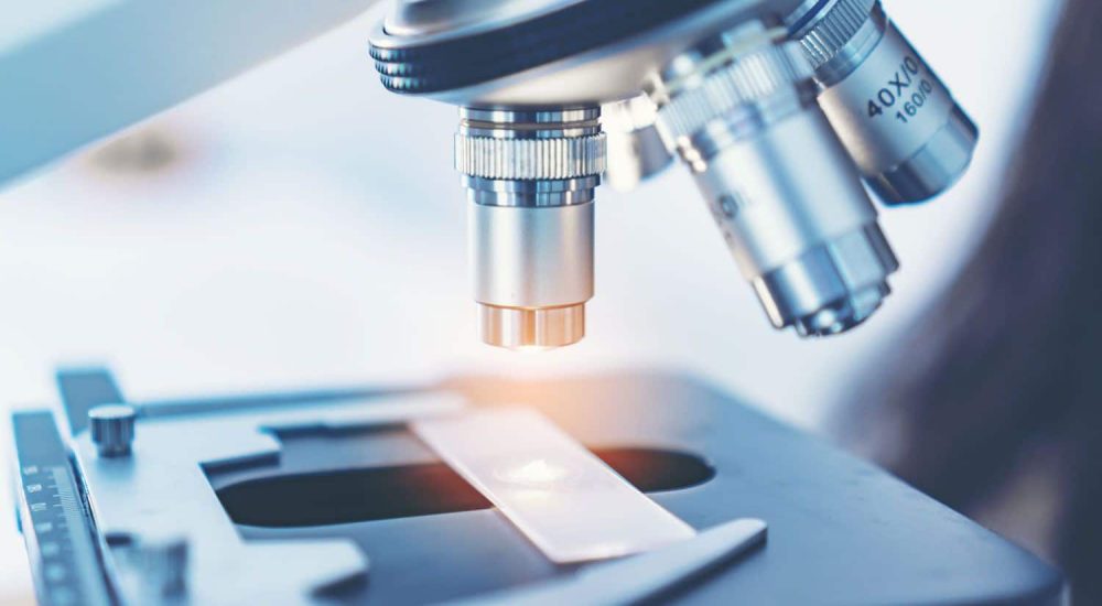 AdobeStock_266438665_web Pathology Services at Hardtner Medical Center