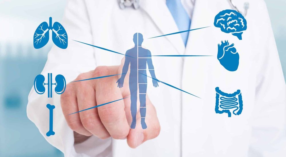 Young medic pointing on modern hologram with internal organs Internal Medicine